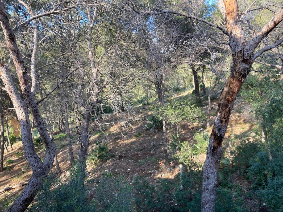 Apartamento Con Vistas Al Mar Castelldefels Exterior foto